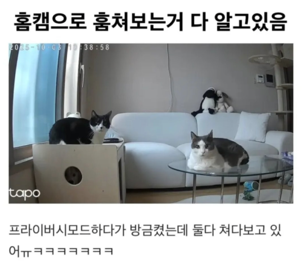 스크린샷 2026-06-30 오후 6.28.42.png