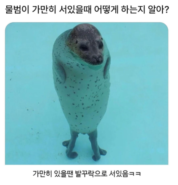 스크린샷 2026-07-05 오후 6.23.28.png