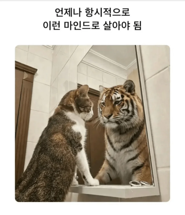 스크린샷 2026-07-05 오후 6.40.09.png