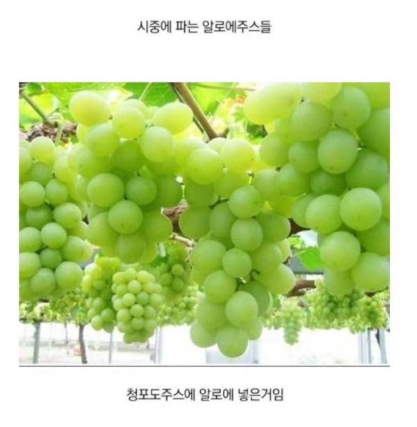 스크린샷 2026-07-05 오후 6.44.38.png